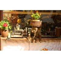 fot.Artek 076