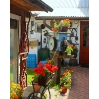 fot.Artek 078