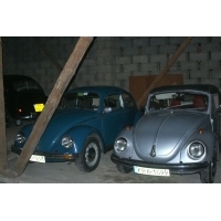fot.Artek 177