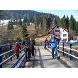 fot.Dominik