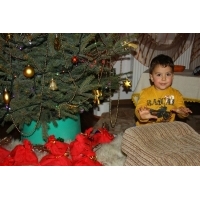 fot.Artek 105