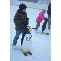 fot.Artek