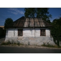 fot.Petr