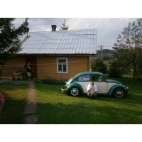 fot.Petr