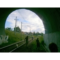 fot.Petr