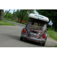 fot.Artek 037