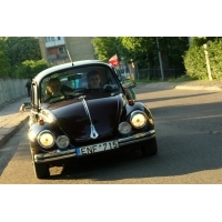 fot.Artek 079