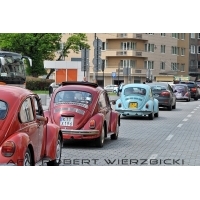 fot.Robert Wierzbicki