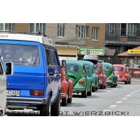 fot.Robert Wierzbicki