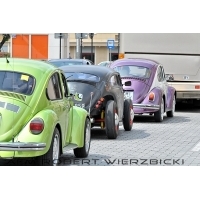 fot.Robert Wierzbicki