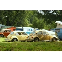 fot.artek 299