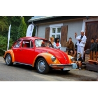 fot.artek 351