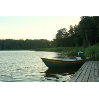 fot.artek 429