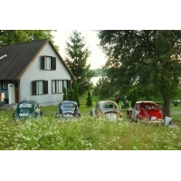fot.artek 494