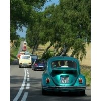 fot.artek 975