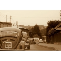 fot.Artek 043