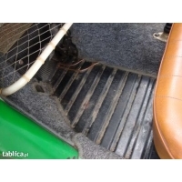 43982515_5_644x461_volkswagen-garbus-1200cm-1954-rok-podkarpackie.jpg