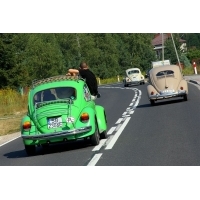 fot.artek 101