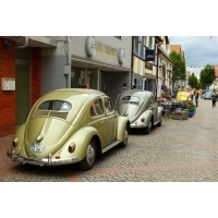 fot.Artek 085
