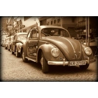 fot.Artek 087