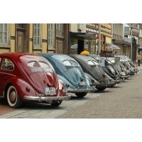fot.Artek 100