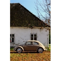 fot.Artek 006