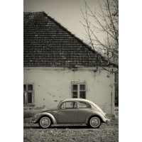 fot.Artek 007