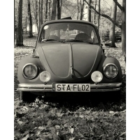 fot.Artek 022