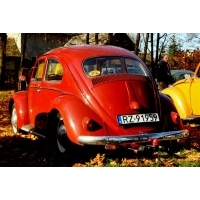 fot.Artek 030