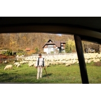 fot.Artek 104