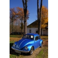 fot.Artek 300