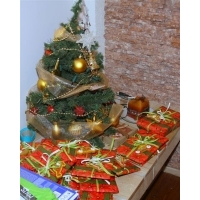 fot.Artek 029