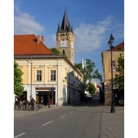 fot.Artek 046
