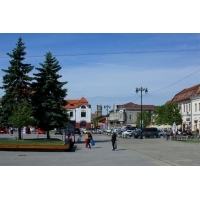 fot.Artek 109