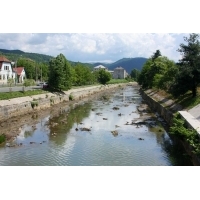 fot.Artek 166