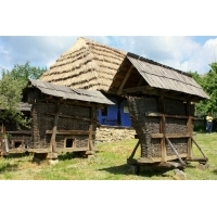 fot.Artek 180