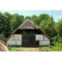 fot.Artek 186