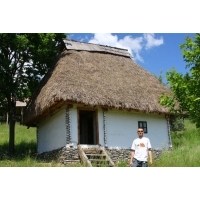 fot.Artek 223