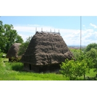 fot.Artek 225