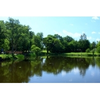 fot.Artek 060
