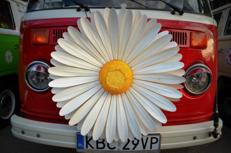 fot.Ania Woźniak