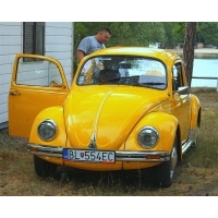 fot.Artek 011