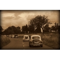 fot.Artek 071