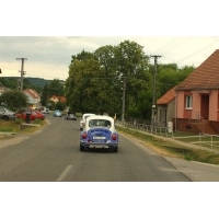 fot.Artek 077