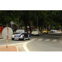fot.Artek 137