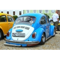 fot.Artek 224