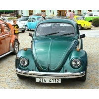 fot.Artek 239