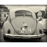 fot.Artek 251