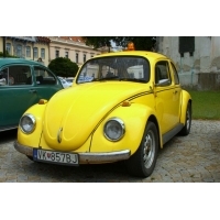 fot.Artek 263