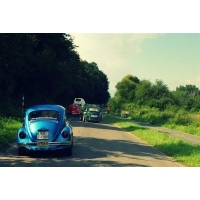 fot.Artek 027